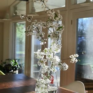 Meet your Posher, Rhea